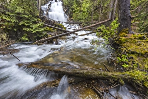 Martin Falls in the Flathead National Forest near Whitefish Montana Martin Falls in the Flathead National Forest near Whitefish Montana