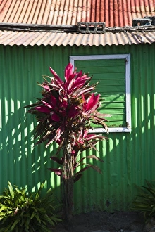 Mauritius Beach Prints: Mauritius, Eastern Mauritius, Trou d Eau Douce, beach shack