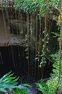 Mexico, Into the Cenote, east of Chichen Itza, where Mayans made human sacrifices Mexico, Into the Cenote, east of Chichen Itza, where Mayans made human sacrifices