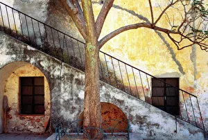 Mexico, Queretaro. Tree and weathered stairway Mexico, Queretaro. Tree and weathered stairway