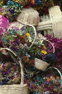 Mexico, San Miguel de Allende, The Jardin, Plaza Principal, Dried Flowers at Outdoor Market Mexico, San Miguel de Allende, The Jardin, Plaza Principal, Dried Flowers at Outdoor Market