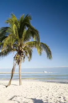 Mexico Yucatan Progreso Beach Print