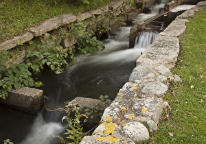Millrace at Dexter grist mill, Sandwich, Massachusetts Millrace at Dexter grist mill, Sandwich, Massachusetts