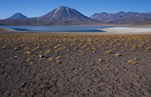 Miniques Lake is a brackish water lake located in the altiplano of the Antogafasta region of Chile Miniques Lake is a brackish water lake located in the altiplano of the Antogafasta region of Chile