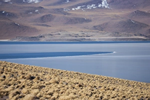 Miscanti Lake is a brackish water lake located in the altiplano of the Antogafasta region of Chile Miscanti Lake is a brackish water lake located in the altiplano of the Antogafasta region of Chile