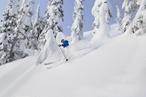 Mistie Fortin skis powder at Whitefish Mountain Resort in Whitefish, Montana, USA MR Mistie Fortin skis powder at Whitefish Mountain Resort in Whitefish, Montana, USA MR