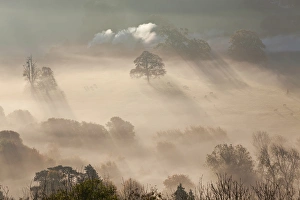 Misty autumn morning, Uley, Gloucestershire, UK Misty autumn morning, Uley, Gloucestershire, UK