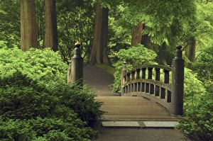 Moon Bridge after the Rain: Portland Japanese Garden, Portland, Oregon, USA Moon Bridge after the Rain: Portland Japanese Garden, Portland, Oregon, USA