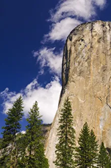 Morning light on El Capitan, Yosemite National Park, California Morning light on El Capitan, Yosemite National Park, California