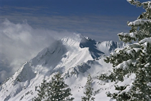 Mount Superior from Little Cottonwood Canyon, Wasatch-Cache National Forest, Utah Mount Superior from Little Cottonwood Canyon, Wasatch-Cache National Forest, Utah
