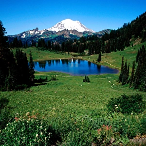 Mt. Rainier from Tipso Lake, Mt. Rainier National Park Mt. Rainier from Tipso Lake, Mt. Rainier National Park