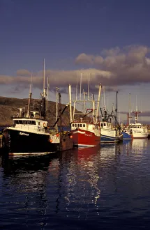 NA, Canada, Newfoundland, St. Johns Boats in St. Johns Harbor NA, Canada, Newfoundland, St. Johns Boats in St. Johns Harbor
