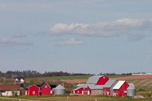 NA, Canada, Prince Edward Island. Country farm NA, Canada, Prince Edward Island. Country farm