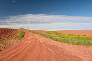 NA, Canada, Prince Edward Island. Country road NA, Canada, Prince Edward Island. Country road
