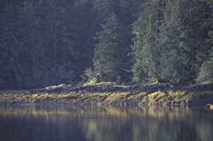 NA, Canada, Queen Charlotte Islands Landscape NA, Canada, Queen Charlotte Islands Landscape