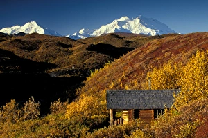 NA, USA, Alaska, Denali NP, Denali, towers over a log cabin on fall tundra NA, USA, Alaska, Denali NP, Denali, towers over a log cabin on fall tundra