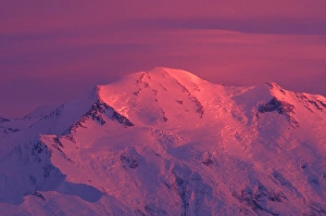 NA, USA, Alaska, Denali NP, Wickersham wall, Pioneer Ridge, lit by alpenglow NA, USA, Alaska, Denali NP, Wickersham wall, Pioneer Ridge, lit by alpenglow
