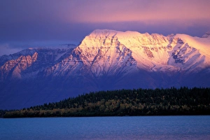 NA, USA, Alaska, Katmai NP, Naknek Lake with Mt. Katolinat behind lit by sunset NA, USA, Alaska, Katmai NP, Naknek Lake with Mt. Katolinat behind lit by sunset