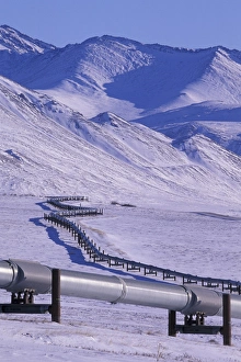 NA, USA, Alaska, north slope of Brooks Range Trans-Alaska pipeline snakes across NA, USA, Alaska, north slope of Brooks Range Trans-Alaska pipeline snakes across