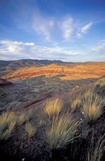 NA, USA, Central Oregon, John Day Fossil Beds NM, Painted Hills Unit NA, USA, Central Oregon, John Day Fossil Beds NM, Painted Hills Unit