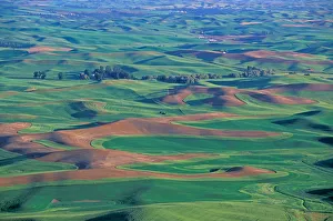 NA, USA, Eastern Washington, Whitman County, Palouse region, springtime hills seen NA, USA, Eastern Washington, Whitman County, Palouse region, springtime hills seen