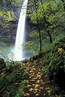 NA, USA, Oregon, Columbia Gorge Elowha Falls in autumn NA, USA, Oregon, Columbia Gorge Elowha Falls in autumn