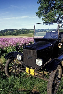 NA, USA, Oregon, near Silverton Model-T Ford in field with dames rocket PR NA, USA, Oregon, near Silverton Model-T Ford in field with dames rocket PR