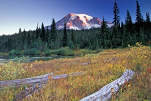 NA, USA, Washington, Reflection lakes area, Mount Rainier, meadow with logs NA, USA, Washington, Reflection lakes area, Mount Rainier, meadow with logs