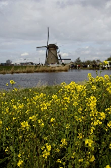 Netherlands (aka Holland), Kinderdijk. 19 historic windmills situated at the convergence Netherlands (aka Holland), Kinderdijk. 19 historic windmills situated at the convergence