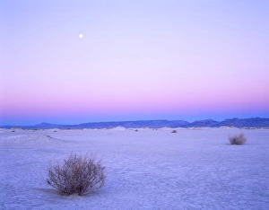 Nevada. USA. Moon over alkali playa at dawn. Railroad Valley. Great Basin Nevada. USA. Moon over alkali playa at dawn. Railroad Valley. Great Basin