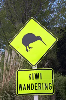 North Island Prints: New Zealand Print: Kiwi Warning Sign near Whakatane