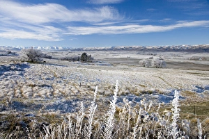 New Zealand, South Island, Central Otago, near Poolburn, Hoar Frost and Farmland New Zealand, South Island, Central Otago, near Poolburn, Hoar Frost and Farmland