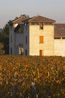 The newly constructed winery building seen over the green yellow golden vineyard The newly constructed winery building seen over the green yellow golden vineyard
