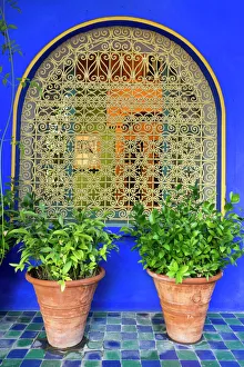 North Africa, Morocco, Marrakech, Jacques Majorelle Botanical Gardens. 12 acres, designed in the 1920s North Africa, Morocco, Marrakech, Jacques Majorelle Botanical Gardens. 12 acres, designed in the 1920s