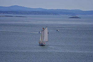 North America, Canada, New Brunswick. A sailboat viewed from Campobello Island North America, Canada, New Brunswick. A sailboat viewed from Campobello Island