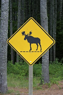 North America, United States, Maine. A sign among the trees in the Moosehead Lake North America, United States, Maine. A sign among the trees in the Moosehead Lake