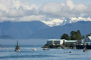 North America, USA, AK, Petersburg. Busy commercial fishing town North America, USA, AK, Petersburg. Busy commercial fishing town