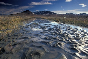 North America, USA, Alaska, Jago RVR region, Arctic National Wildlife Refuge North America, USA, Alaska, Jago RVR region, Arctic National Wildlife Refuge