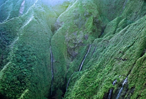 North America, USA, Hawaii, Kauai. Waterfalls on the slopes of Mt. Wai'ale'ale North America, USA, Hawaii, Kauai. Waterfalls on the slopes of Mt. Wai'ale'ale