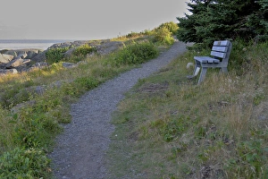 North America, USA, Maine, Lubec. A bench overlooking the ocean next to a path in North America, USA, Maine, Lubec. A bench overlooking the ocean next to a path in