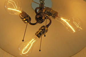 North America, USA, New York, Rochester. George Eastman House, filament light bulbs North America, USA, New York, Rochester. George Eastman House, filament light bulbs