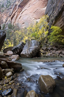 North Fork of Virgin River Print, Zion National Park, Utah