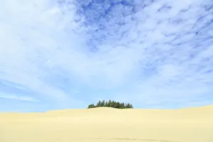 Oregon Dunes National Recreation Area, Oregon Coast near Reedsport Oregon Dunes National Recreation Area, Oregon Coast near Reedsport