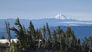 Oregon, Mount Hood. Mount Hood seen from Mount Adams Oregon, Mount Hood. Mount Hood seen from Mount Adams