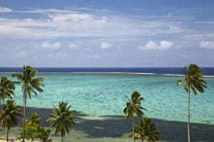 Palm trees and coral reef, Crusoes Retreat, Coral Coast, Viti Levu, Fiji, South Palm trees and coral reef, Crusoes Retreat, Coral Coast, Viti Levu, Fiji, South