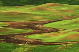 Palouse view from Steptoe Butte of Cultivation Patterns; Whitman County; Washington Palouse view from Steptoe Butte of Cultivation Patterns; Whitman County; Washington