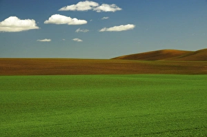 Palouse View in Whitman County, Washington, USA Palouse View in Whitman County, Washington, USA