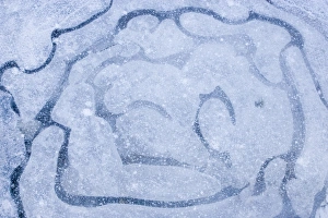 Winter Ice Formations Prints: Patterns in a frozen puddle