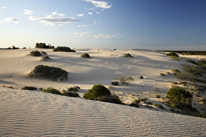 Person and Sand Dunes, Mungo National Park, Outback New South Wales, Australia Person and Sand Dunes, Mungo National Park, Outback New South Wales, Australia
