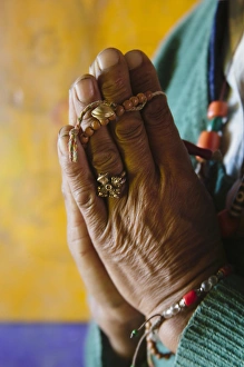 Pilgrim praying in Phyang Gompa, Ladakh, India Pilgrim praying in Phyang Gompa, Ladakh, India